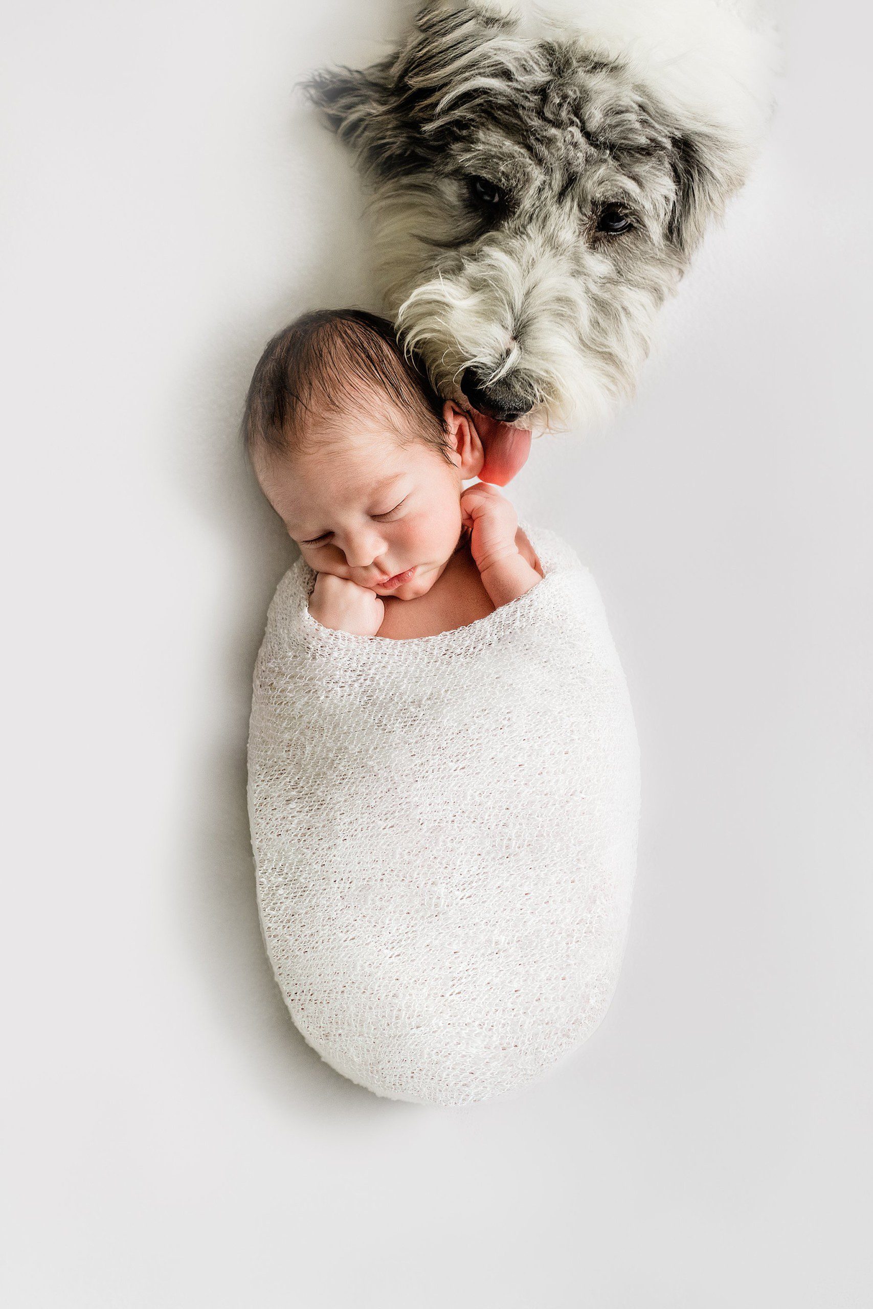 Boston Newborn and Family Photographer Helena Goessens Photography