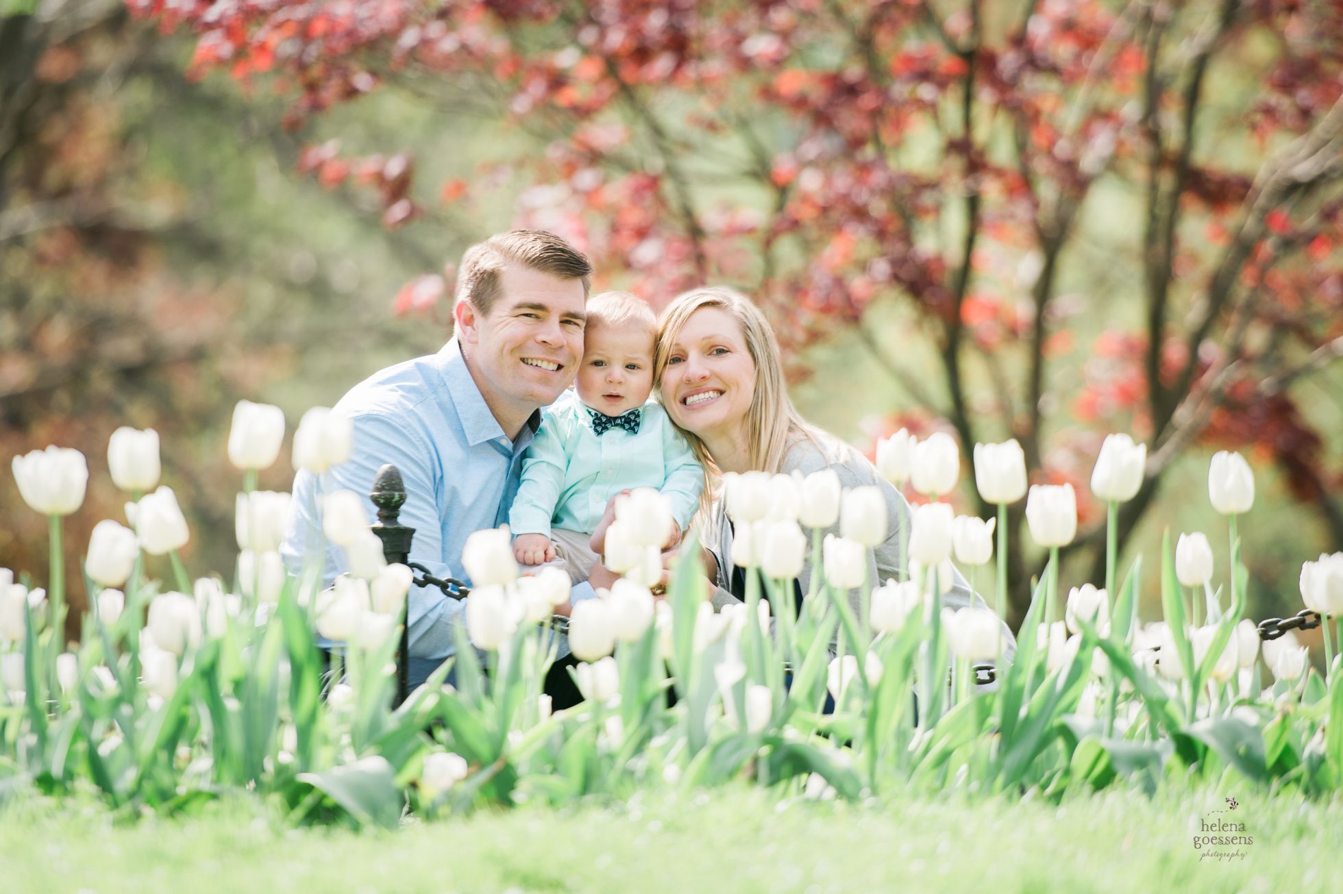 young couple and a blond baby in front of white tulips
