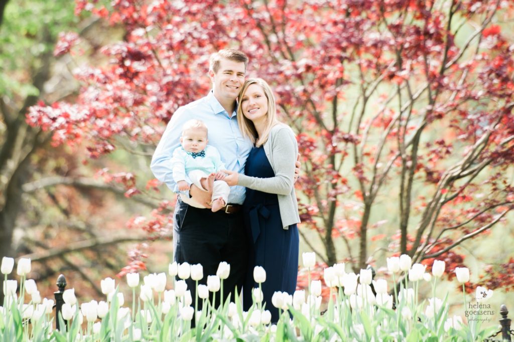 family of three poses in Boston Public Garden during Spring Family Photos