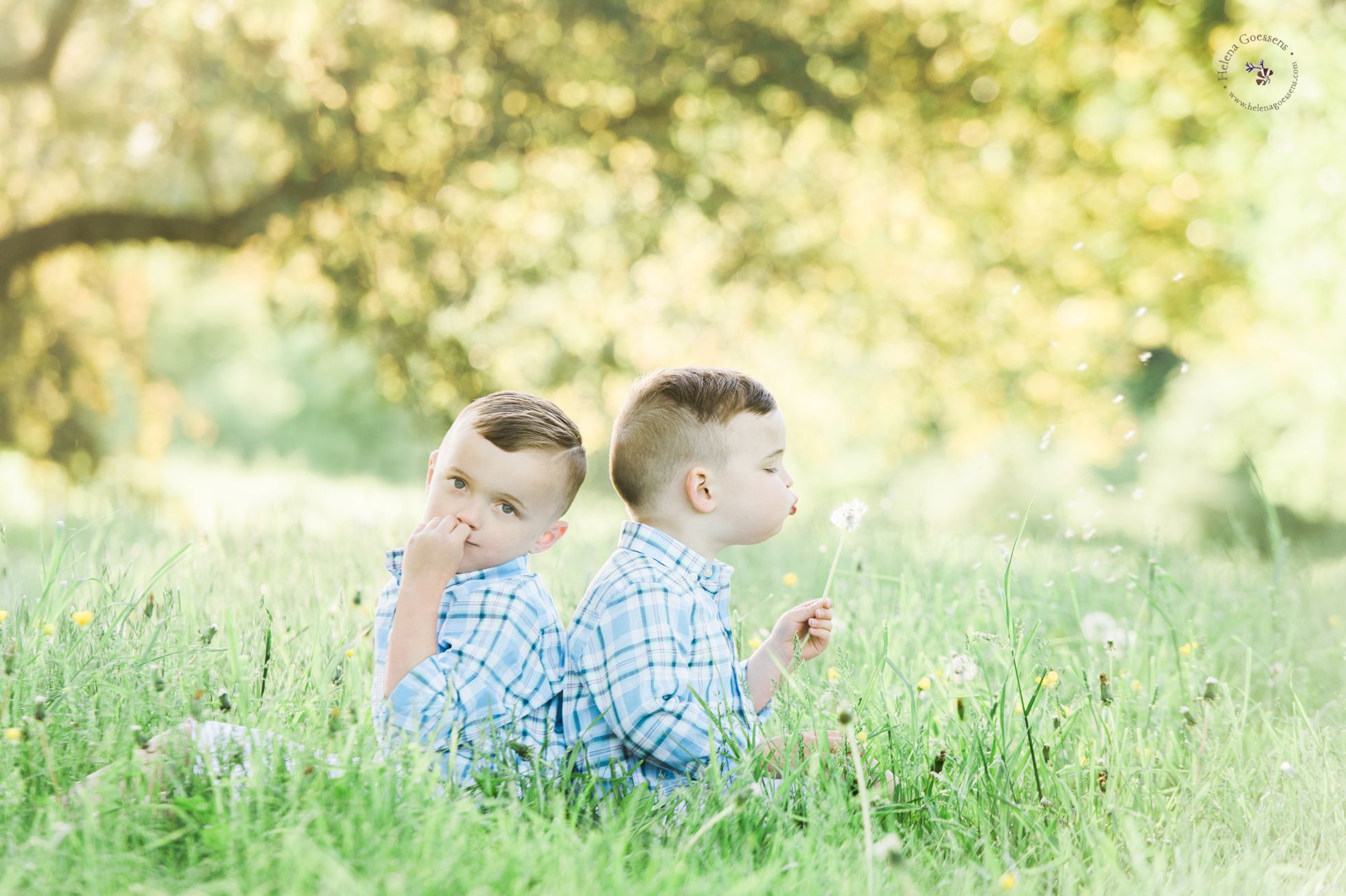 two boys playing with dandelions 