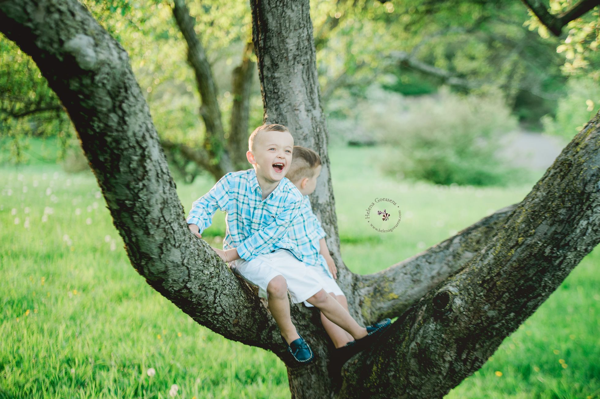a boy laughing and sitting on a tree 