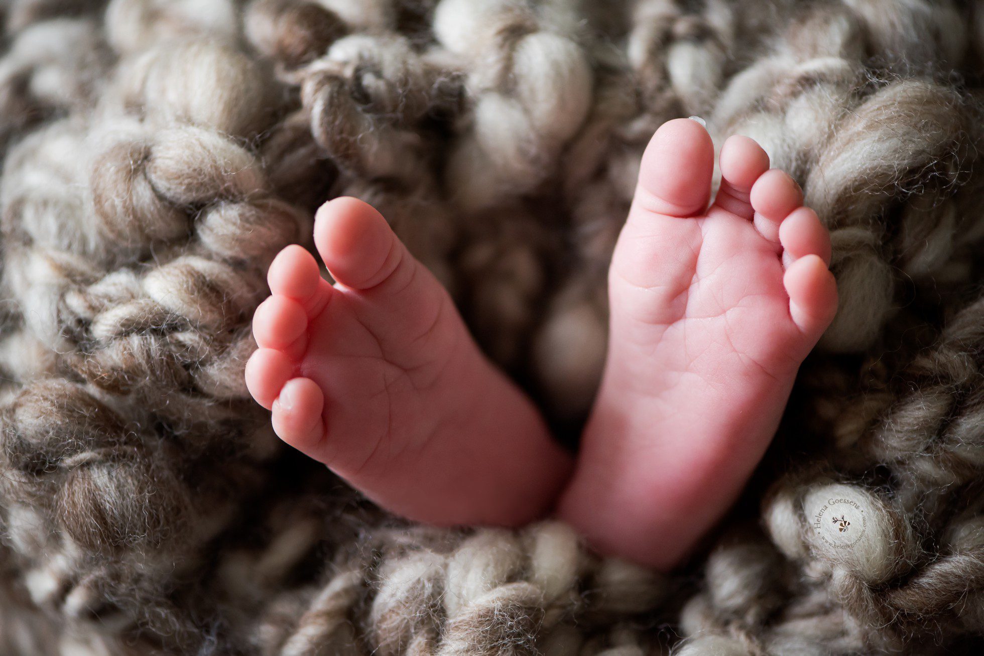 little newborn feet wrap in a wool balnket
