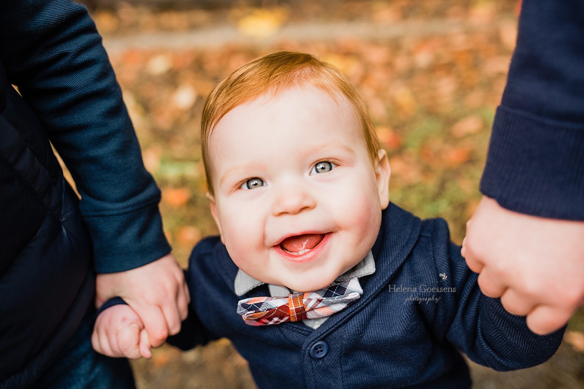 young baby during family portraits with Helena Goessens at Larz Anderson Park