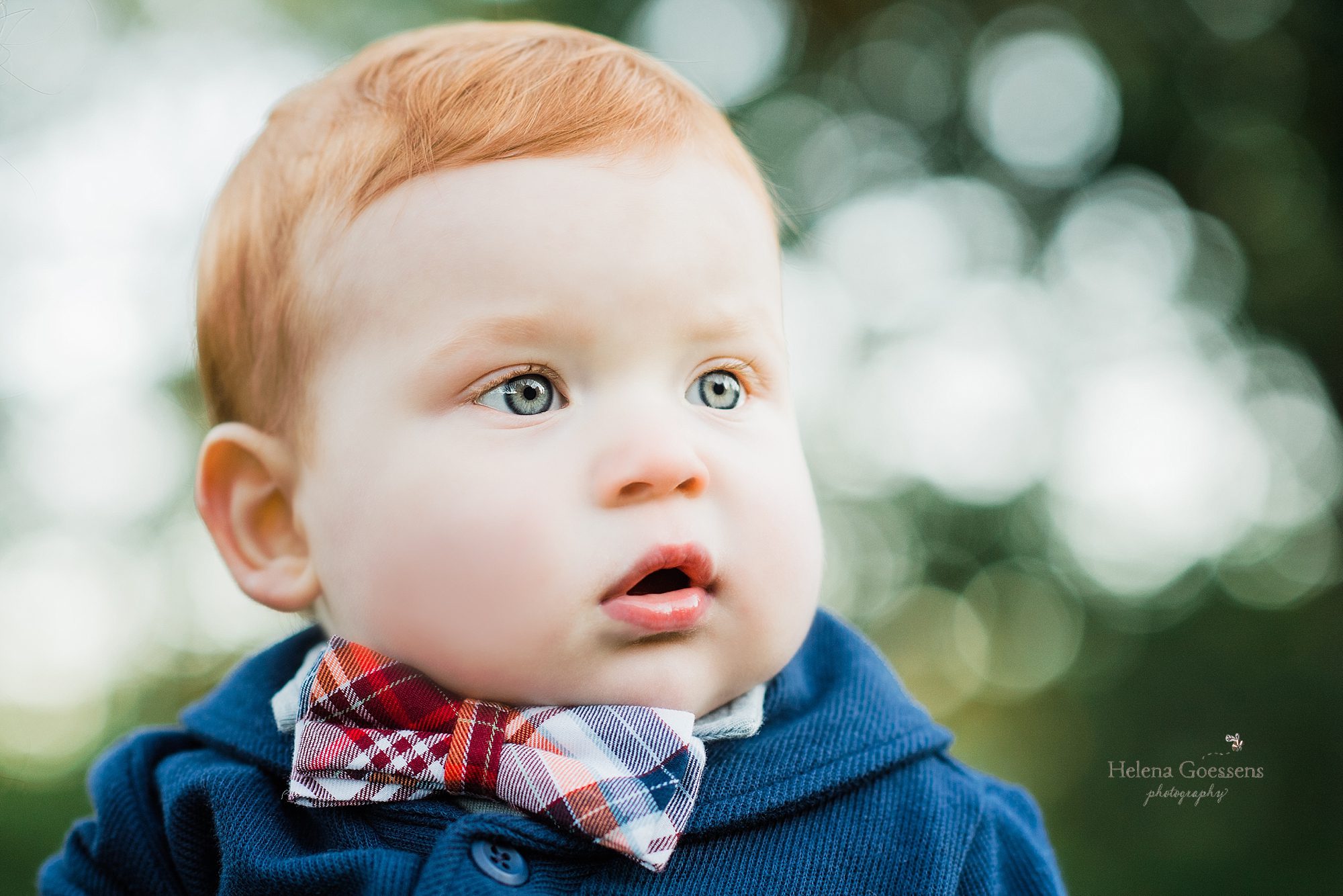 baby boy photographed during portraits with Helena Goessens at Larz Anderson Park