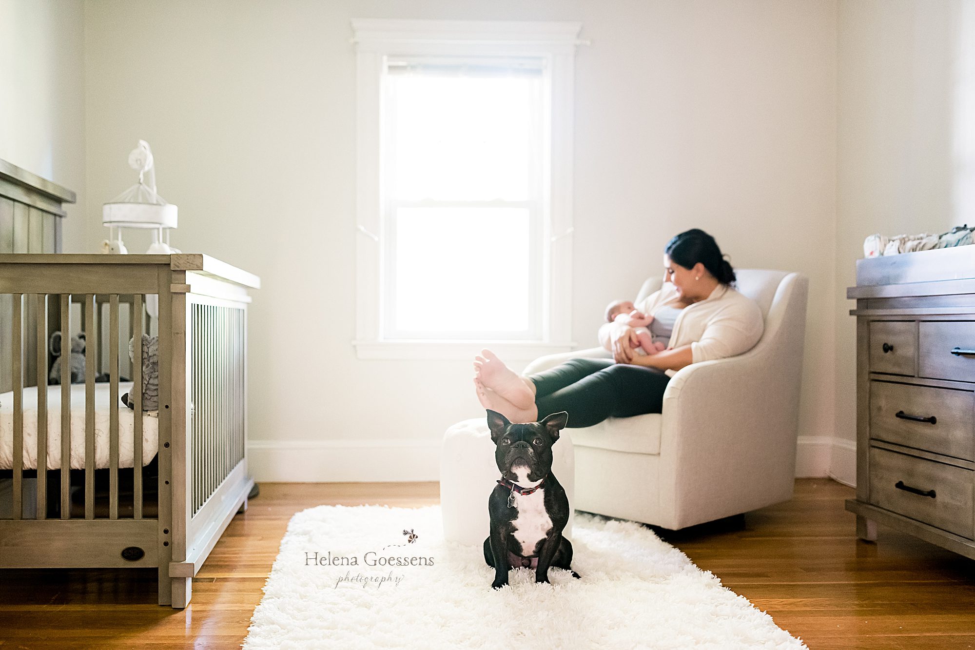 Helena Goessens captures mother with new baby and dog