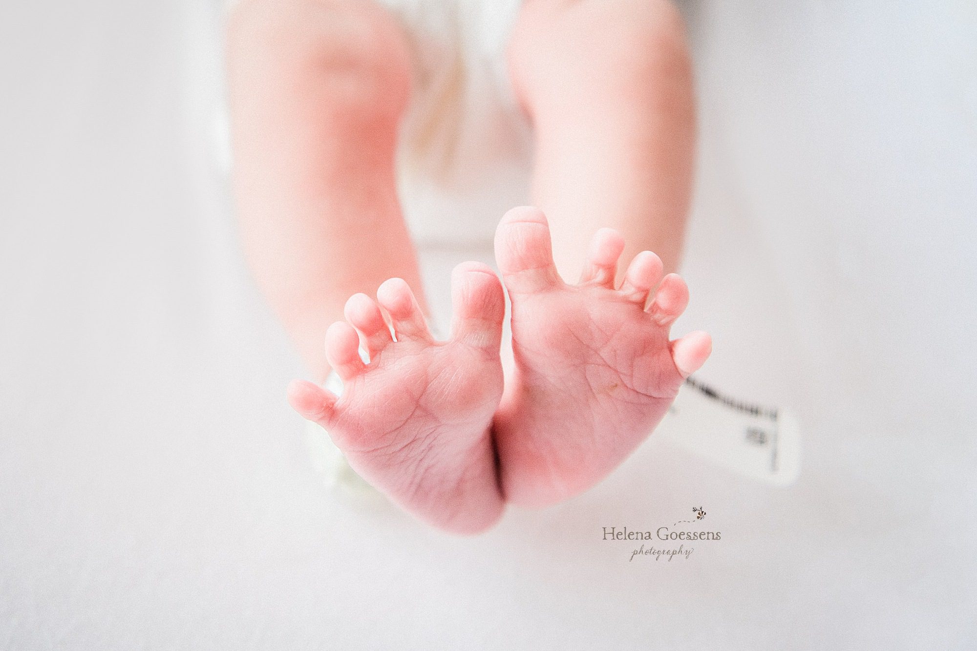 Baby toes during Fresh 48 session with Boston newborn photographer Helena Goessens Photography