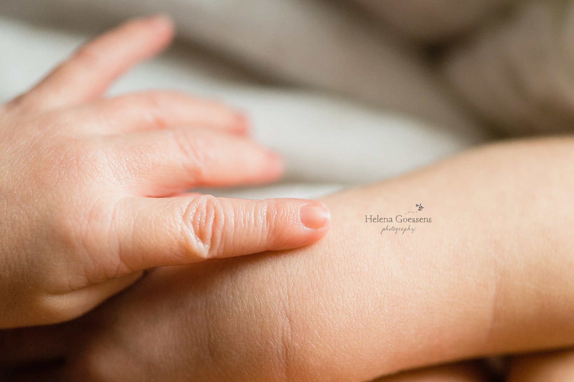 newborn baby hand photographed by Boston newborn photographer Helena Goessens Photography