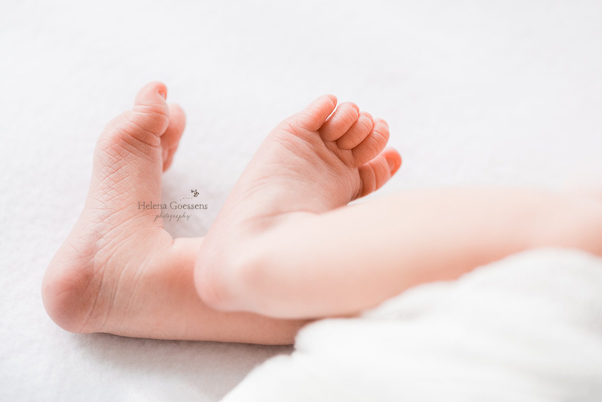 newborn session with Helena Goessens Photography in MA home