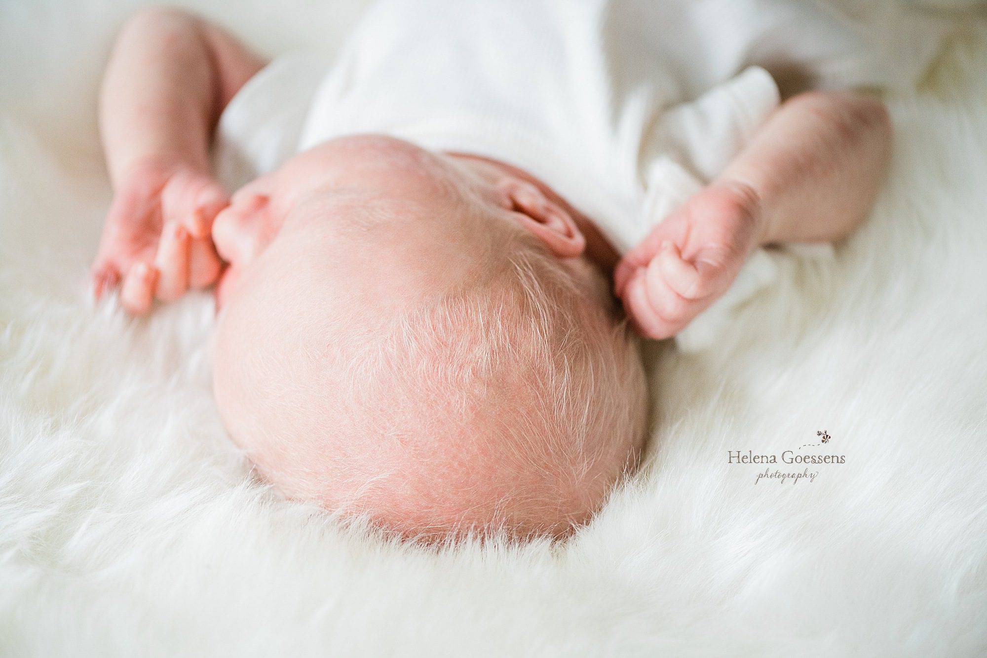 newborn baby photographed by Helena Goessens Photography in Boston MA