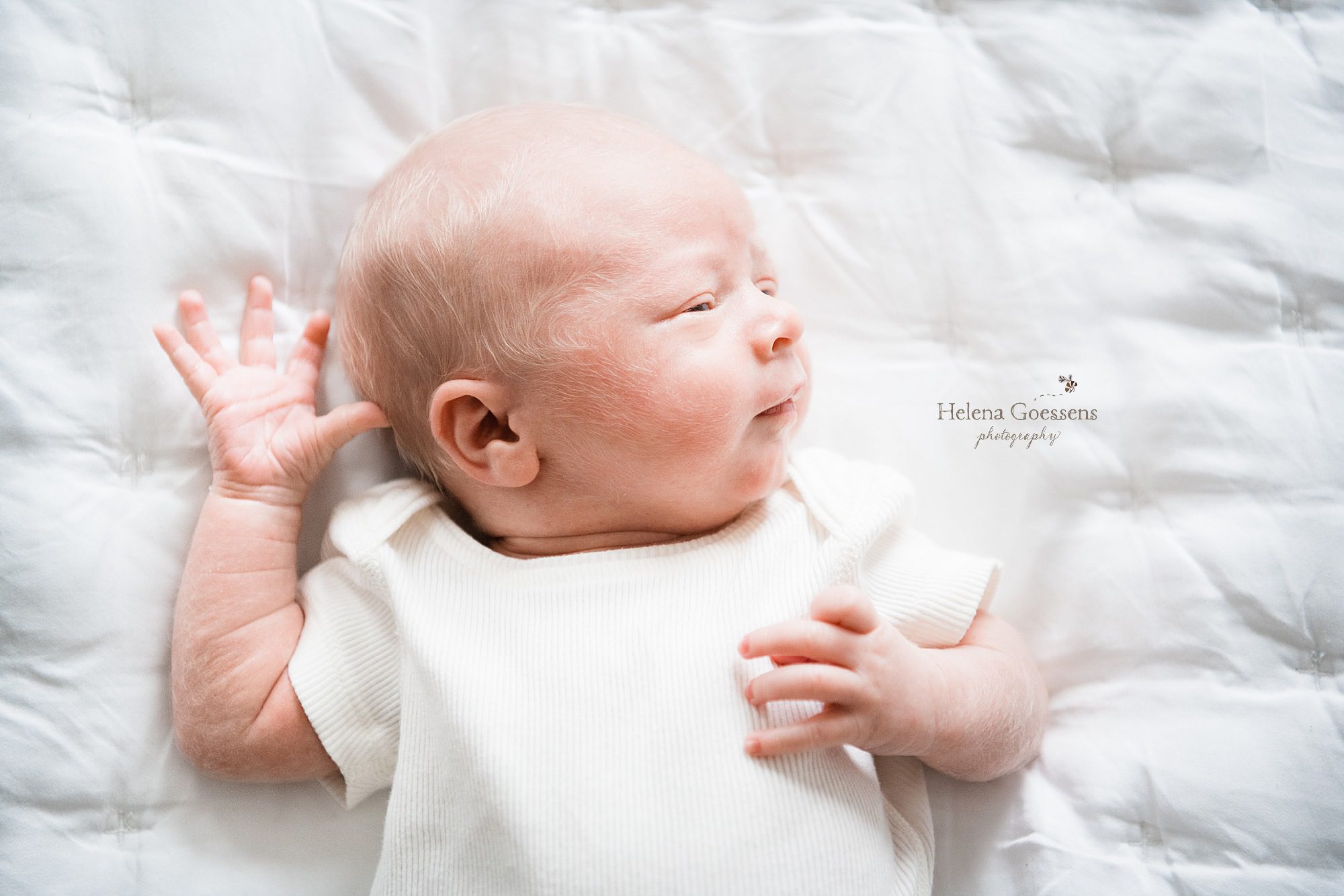 newborn baby boy photographed by MA baby photographer Helena Goessens Photography