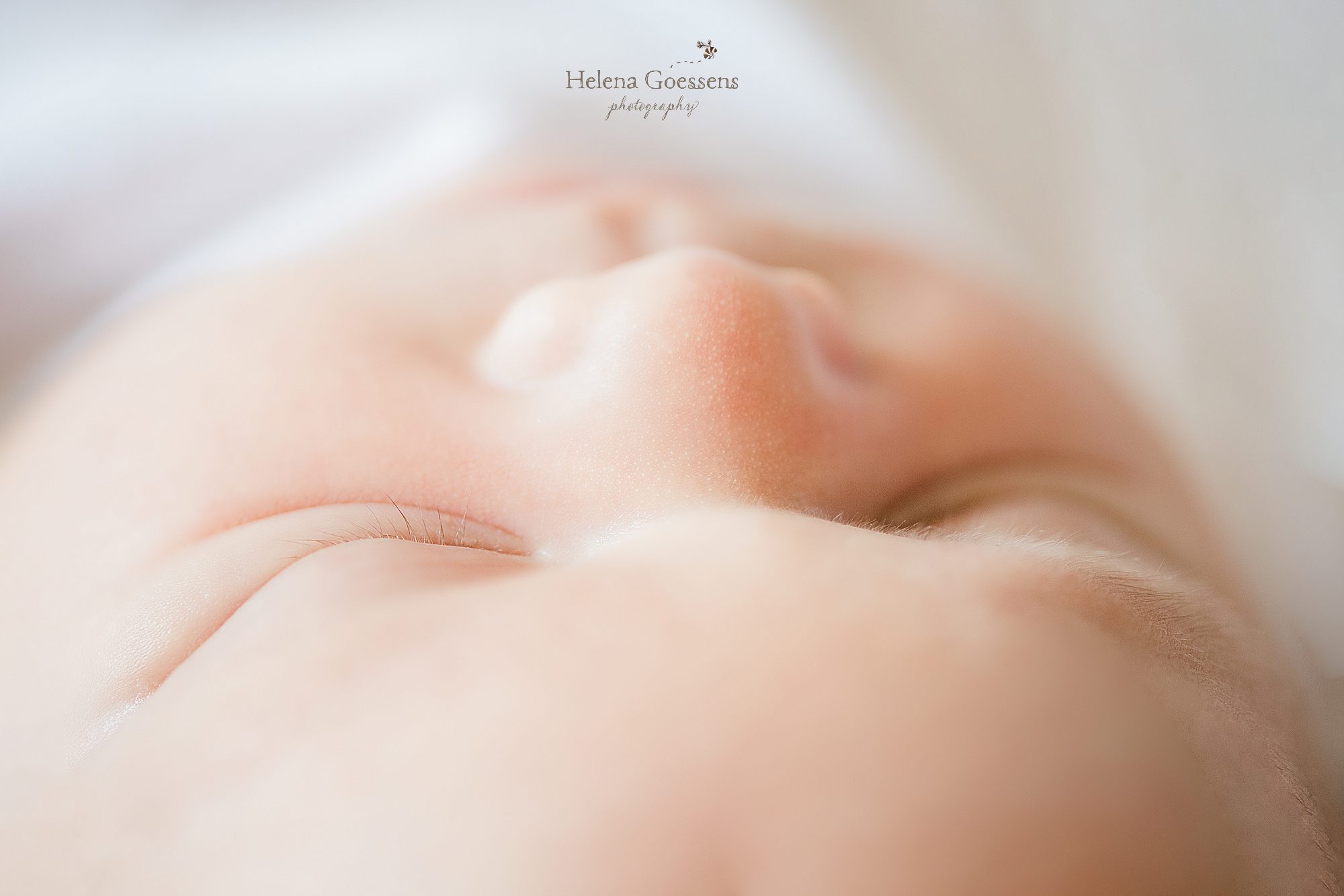 baby's details during newborn portraits by MA newborn photographer Helena Goessens Photography