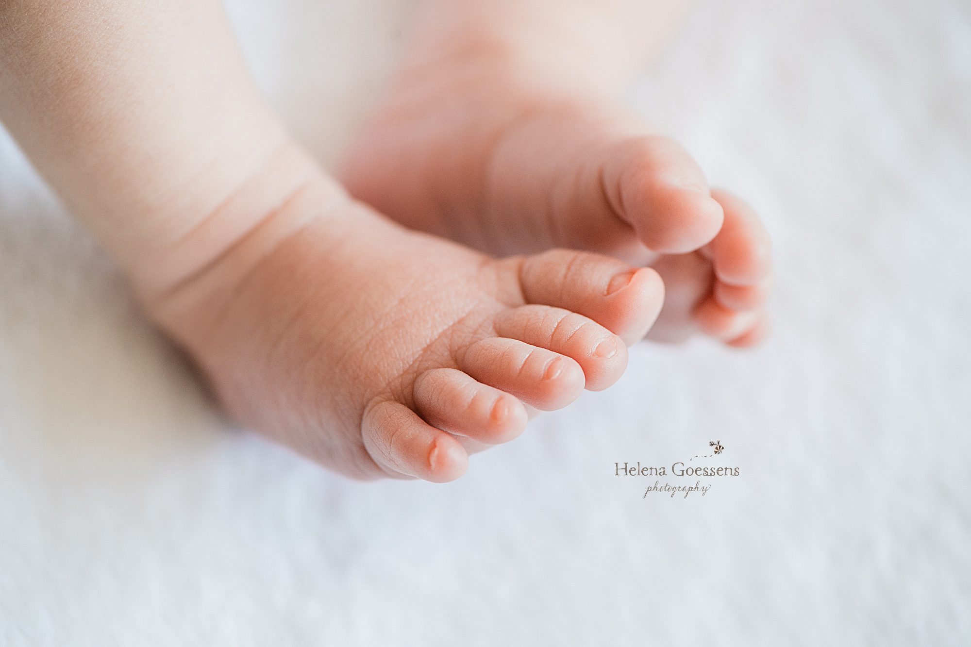newborn baby toes photographed by Helena Goessens Photography