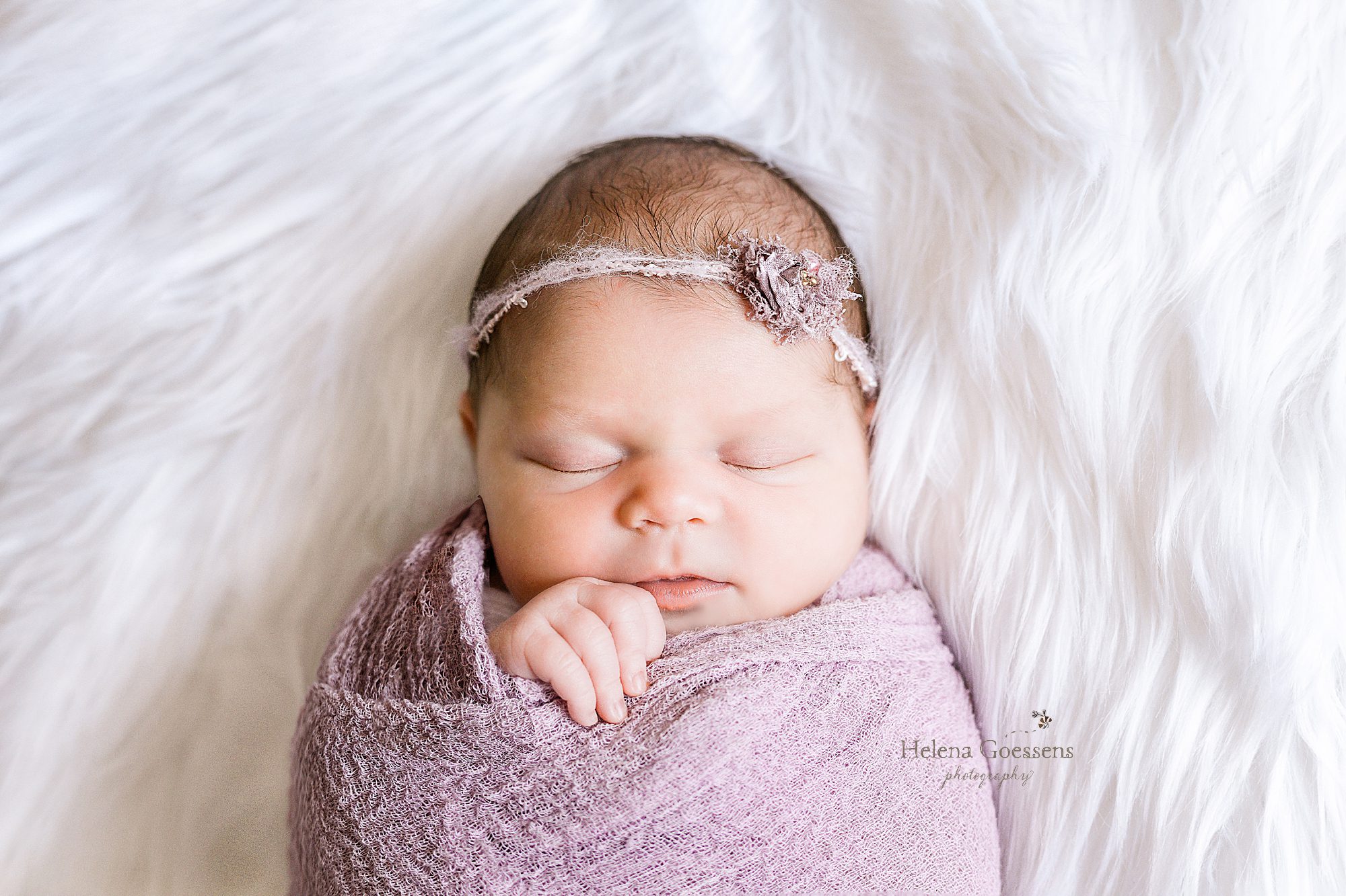 Boston newborn session with Helena Goessens Photography