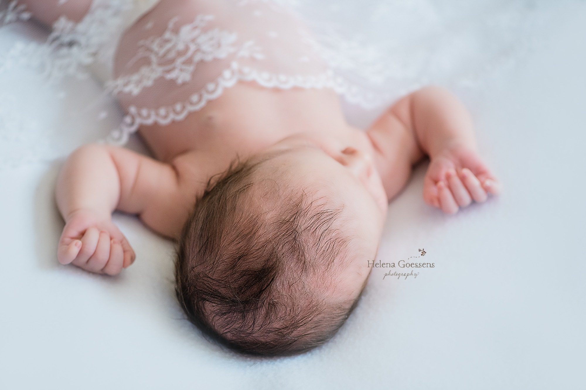 newborn baby girl under wedding veil photographed by Helena Goessens Photography