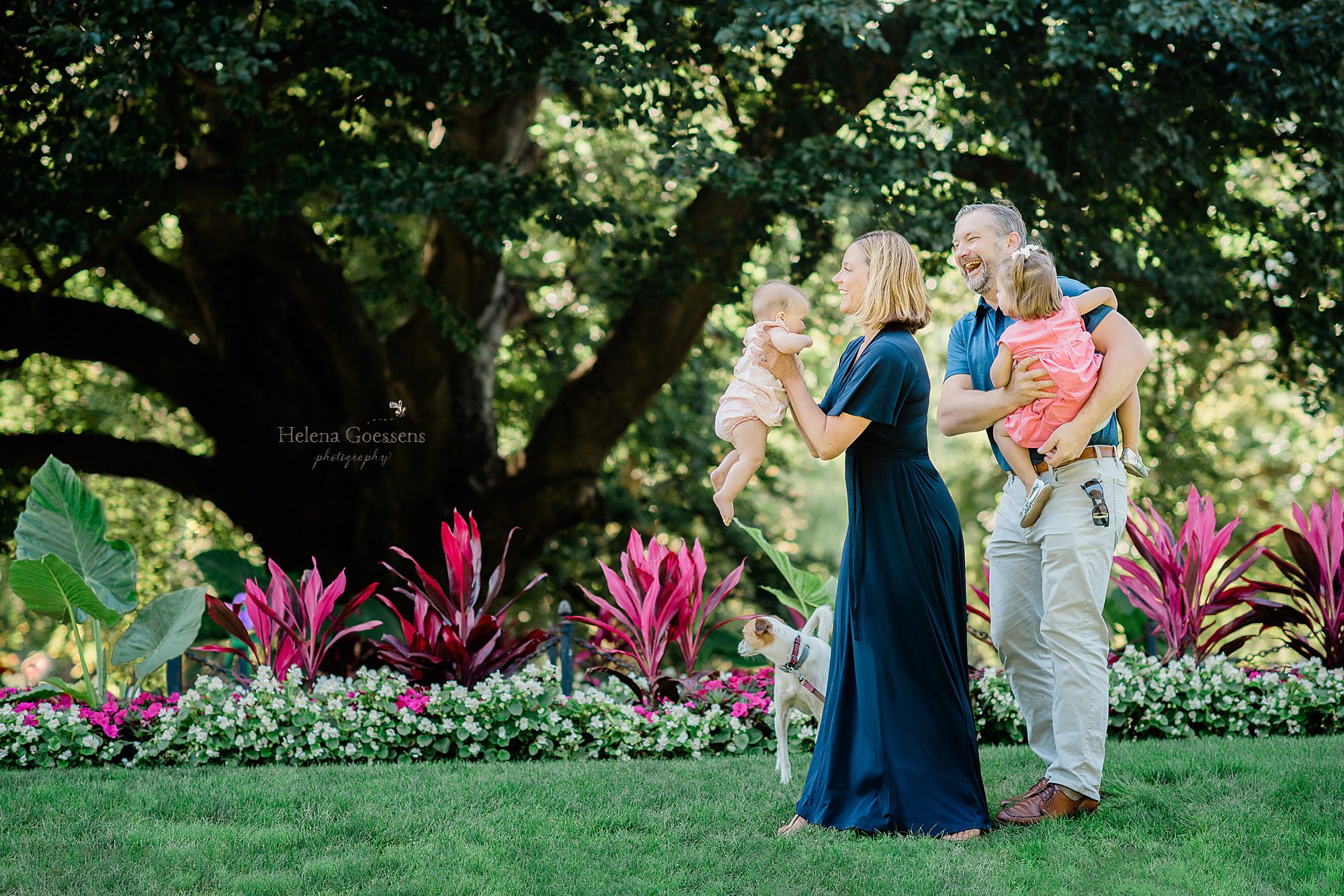 playful Boston Public Garden family portraits with Helena Goessens Photography