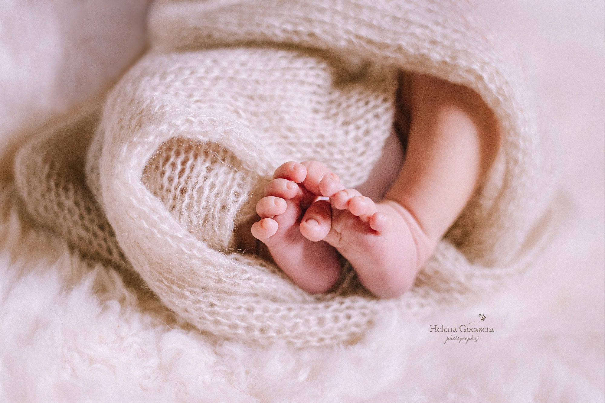 cozy newborn portraits for baby boy with Helena Goessens Photography