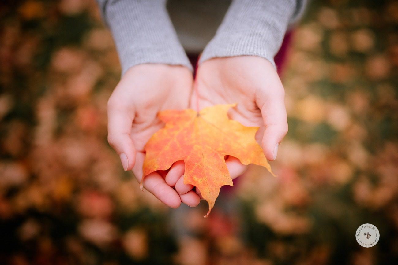fall leaves during MA family session with Helena Goessens Photography