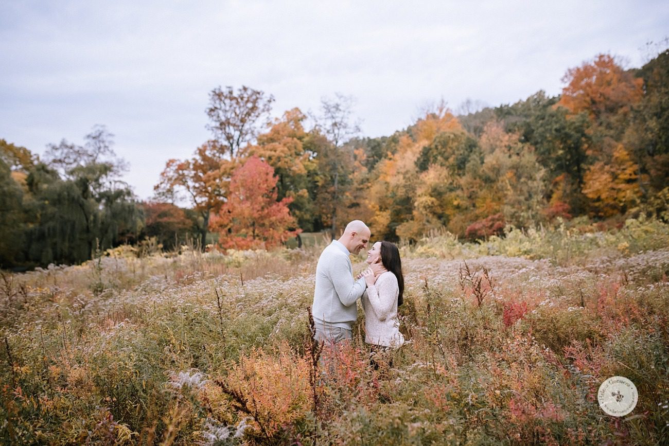 family photos in the fields with Helena Goessens Photography