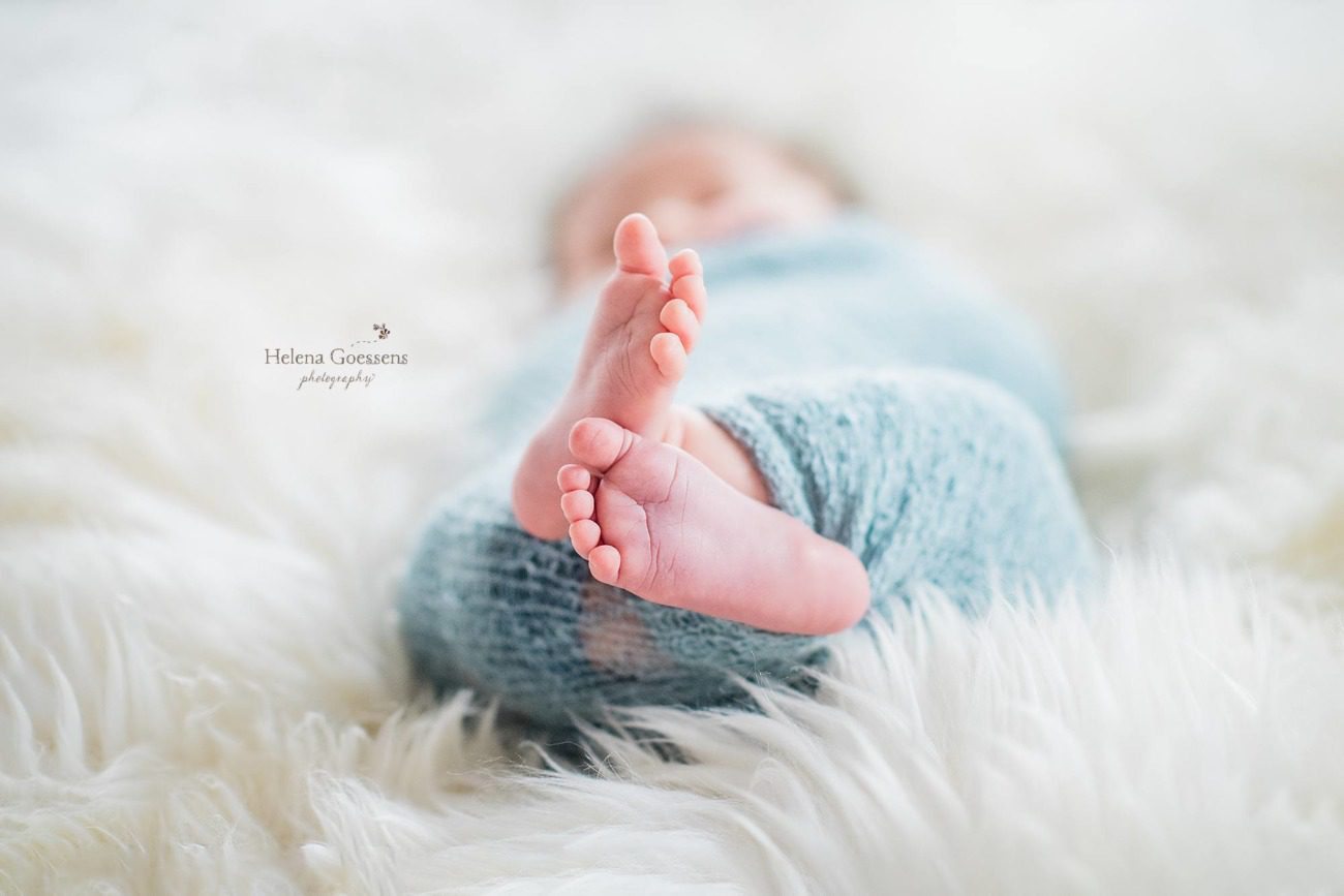 baby boy newborn portraits in MA with Helena Goessens Photography