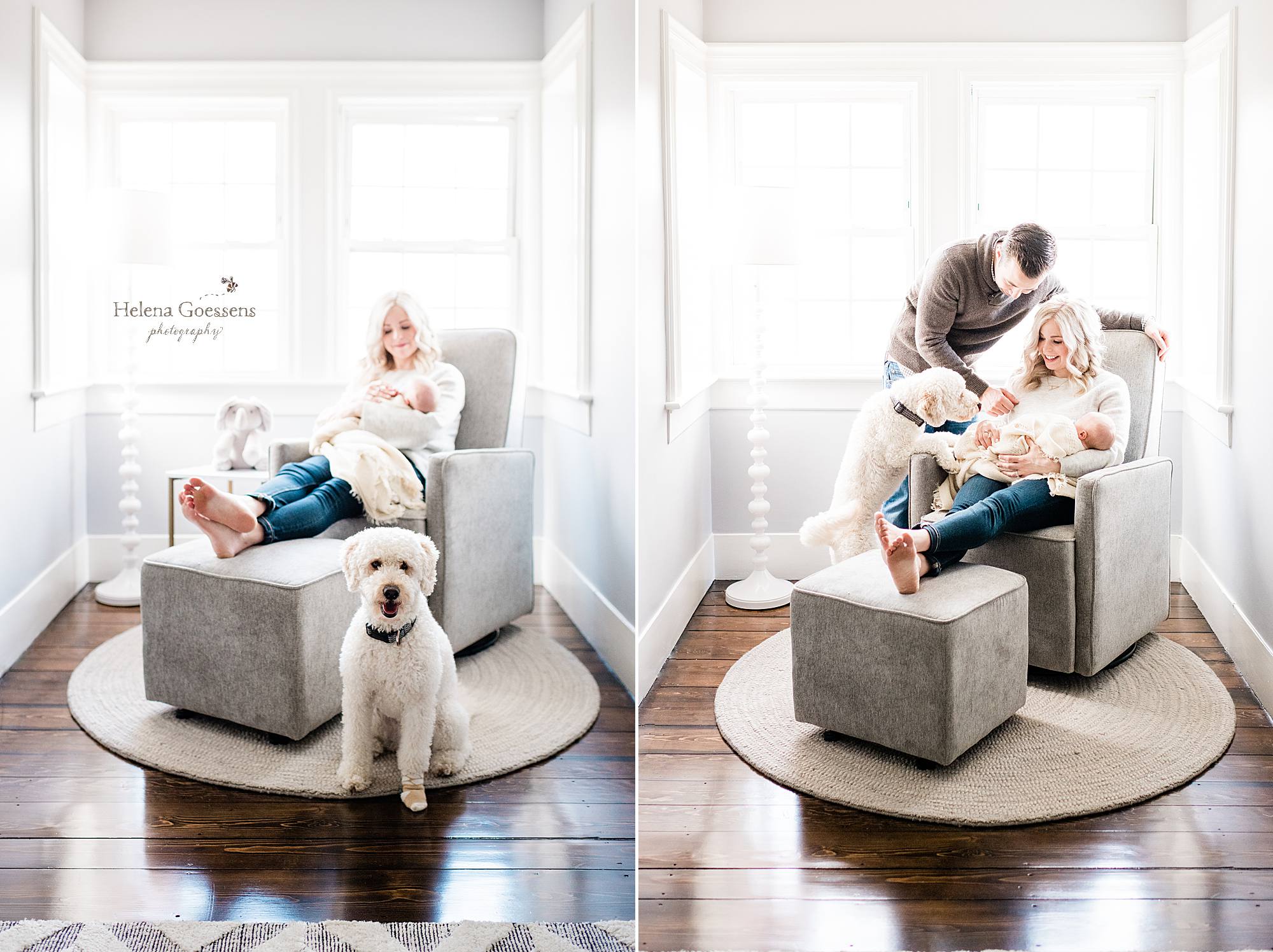 new mom holds baby while dog sniffs feet photographed by Helena Goessens Photography