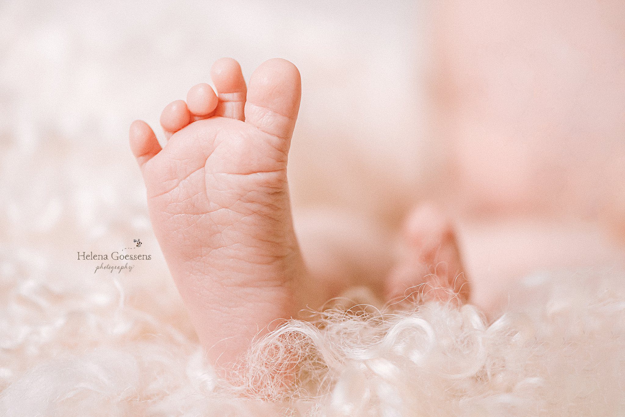 Helena Goessens Photography photographs baby foot during Dedham MA Lifestyle Newborn Session