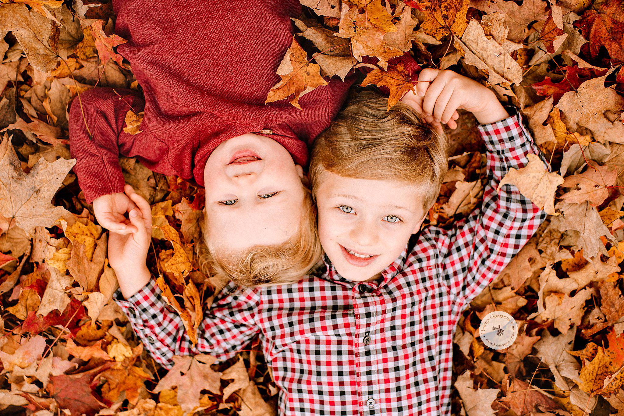 brothers lay in leaves during MA family portraits with Helena Goessens Photography