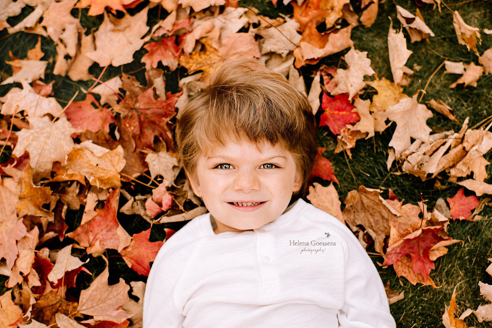 toddler plays in the leaves during fall portraits at Bradley Estate
