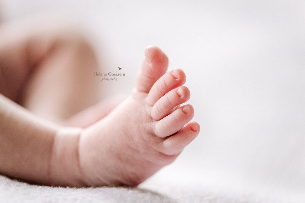 baby's toes photographed during Lifestyle Newborn Session in Quincy MA