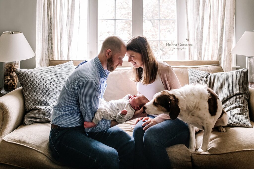 parents sit with new baby girl and dog at home during newborn photos