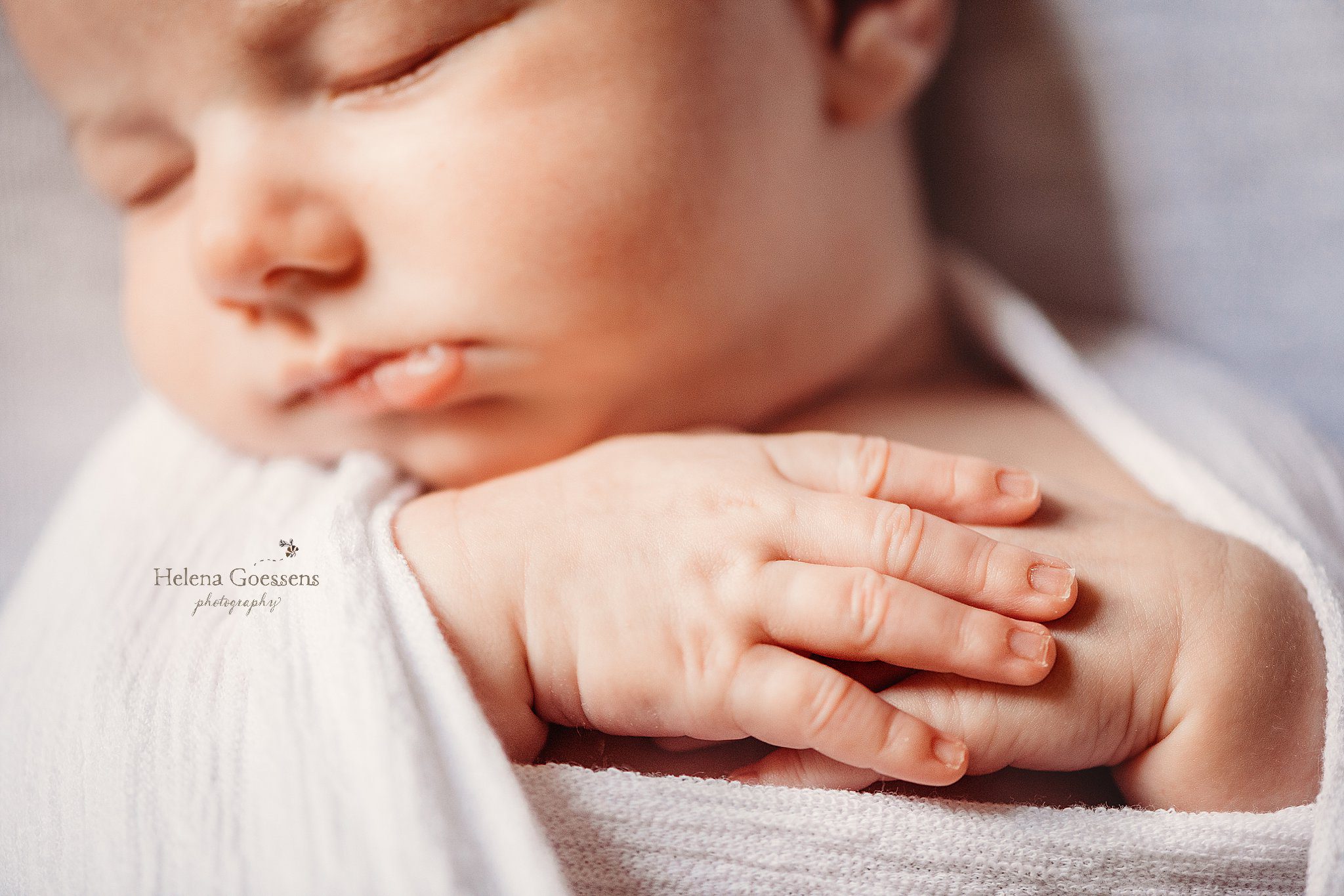baby lays with arms crossed during South End newborn session