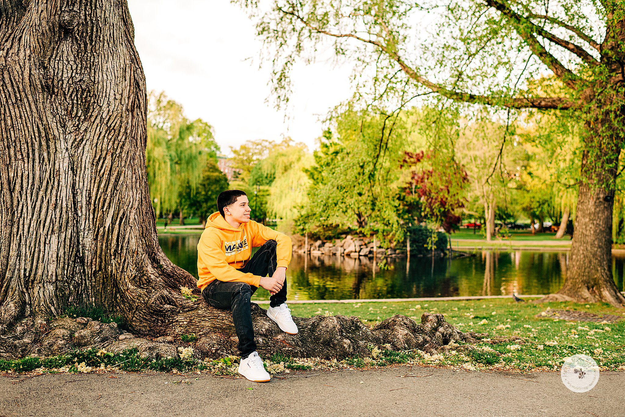 senior in University of Maine sweatshirt sits on tree stump during Boston Public Garden senior session