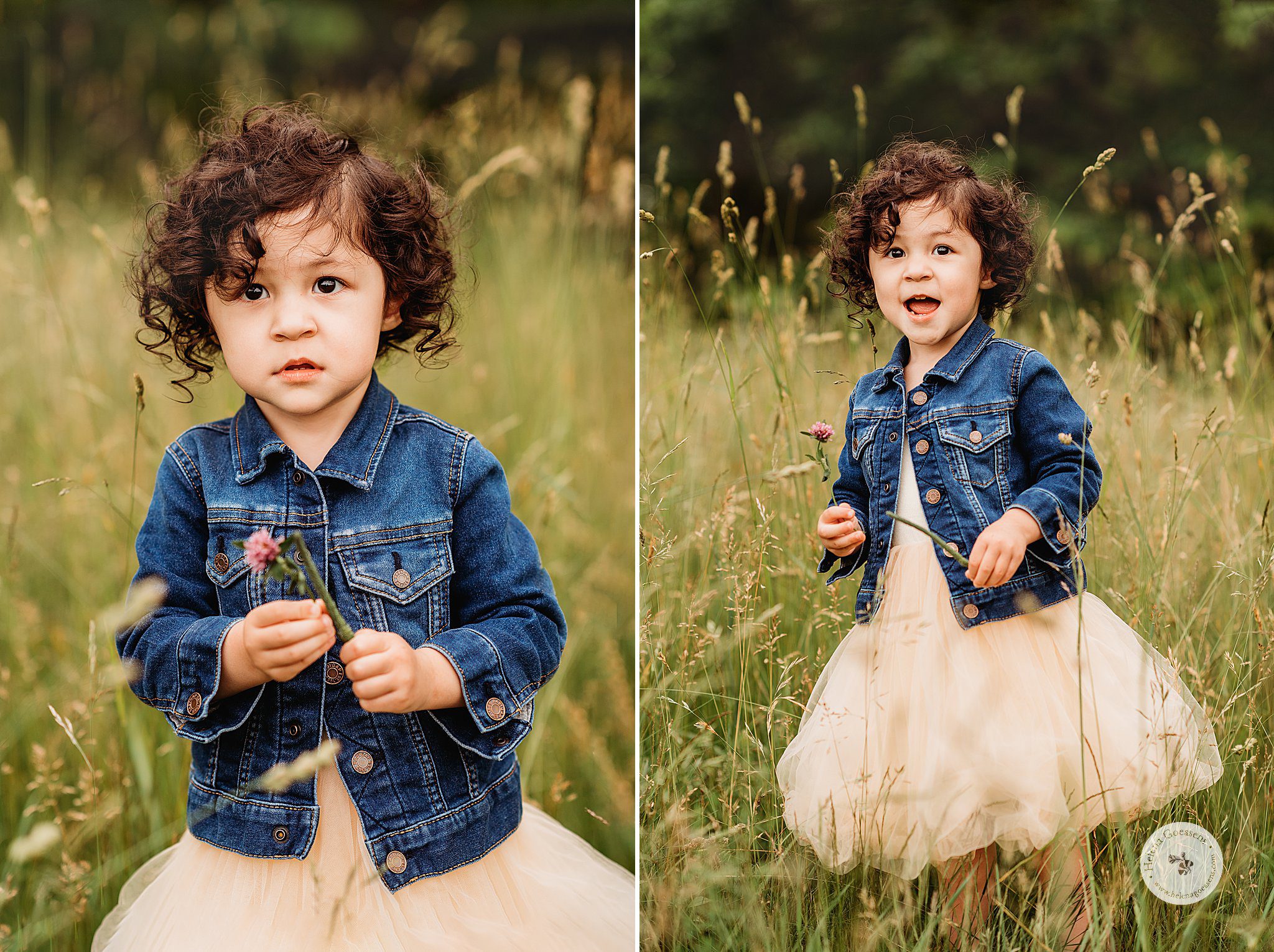 toddler plays in field during Jamaica Plain MA family photos 