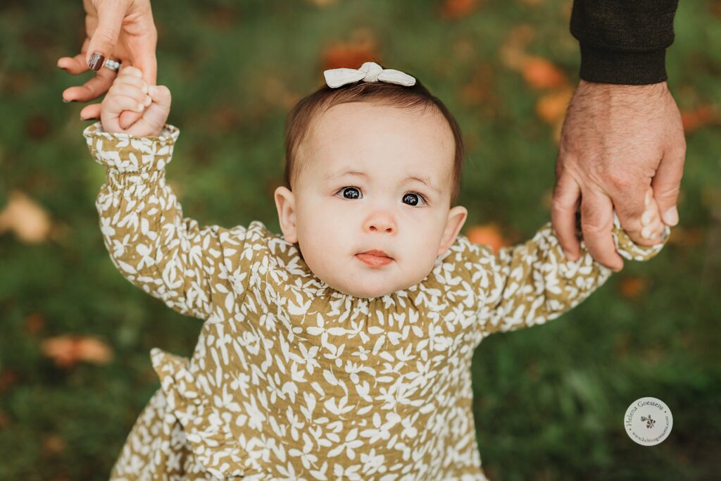 parents hold toddler's hands during Larz Anderson Park family portraits 