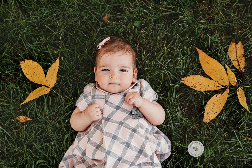 girl lays in grass during fall family photos 