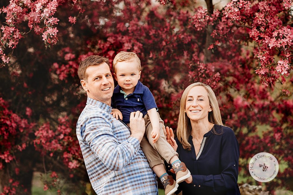 parents pose with son during spring Arnold Arboretum family portraits by pink blossoms