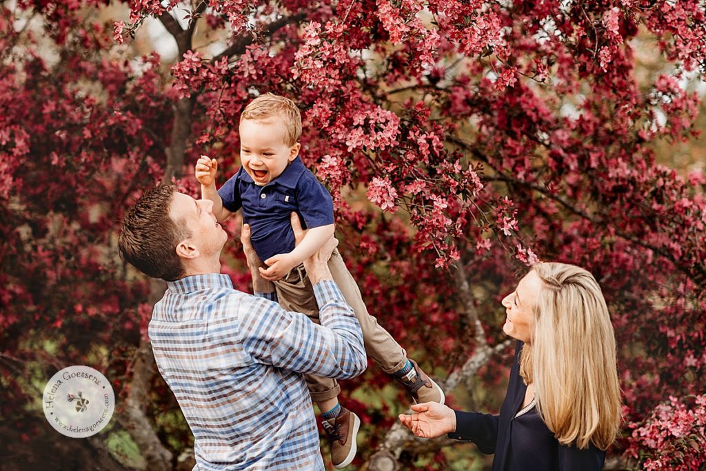 parents lift son up in the air during spring Arnold Arboretum family portraits by pink blossoms