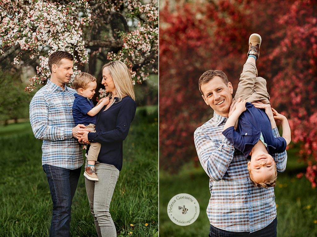 dad lifts son upside down during MA family photos by pink blossoms