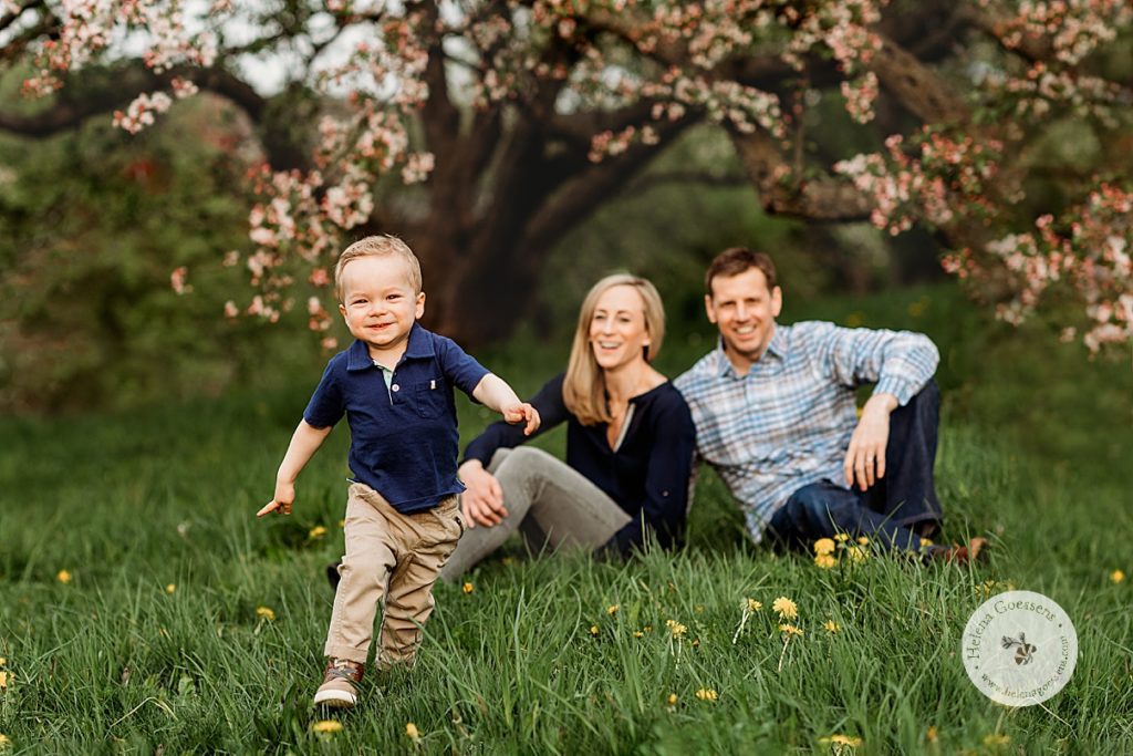 toddler runs through grass with parents watching during spring Arnold Arboretum family portraits 