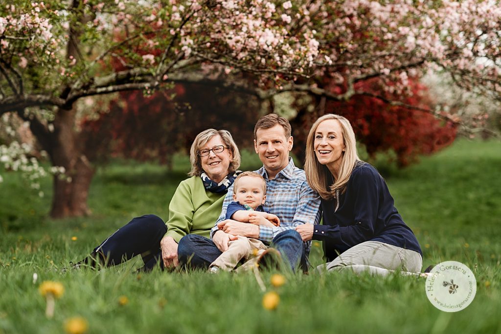 parents sit with son and grandmother during spring Arnold Arboretum family portraits 