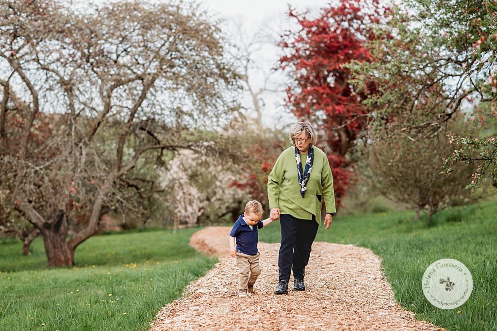 grandmother holds grandson's hand walking on path at Arnold's Arboretum 