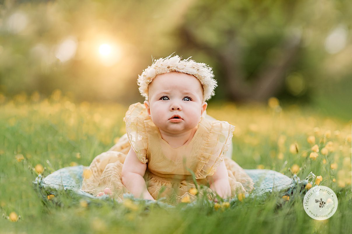 baby girl in yellow dress crawls on teal blanket during family photos in Boston MA park