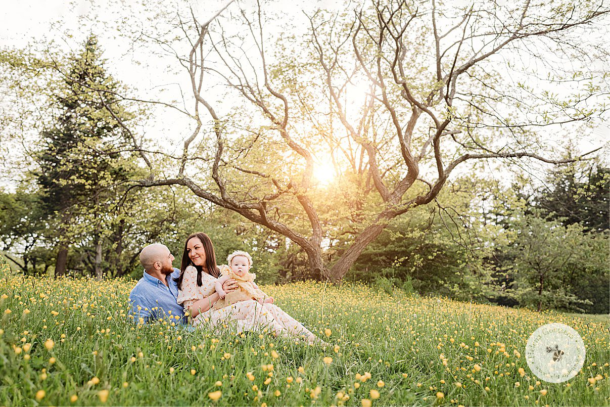 family of three sits together in yellow flowers as sun sets during Spring Family Portraits at Peter's Hill