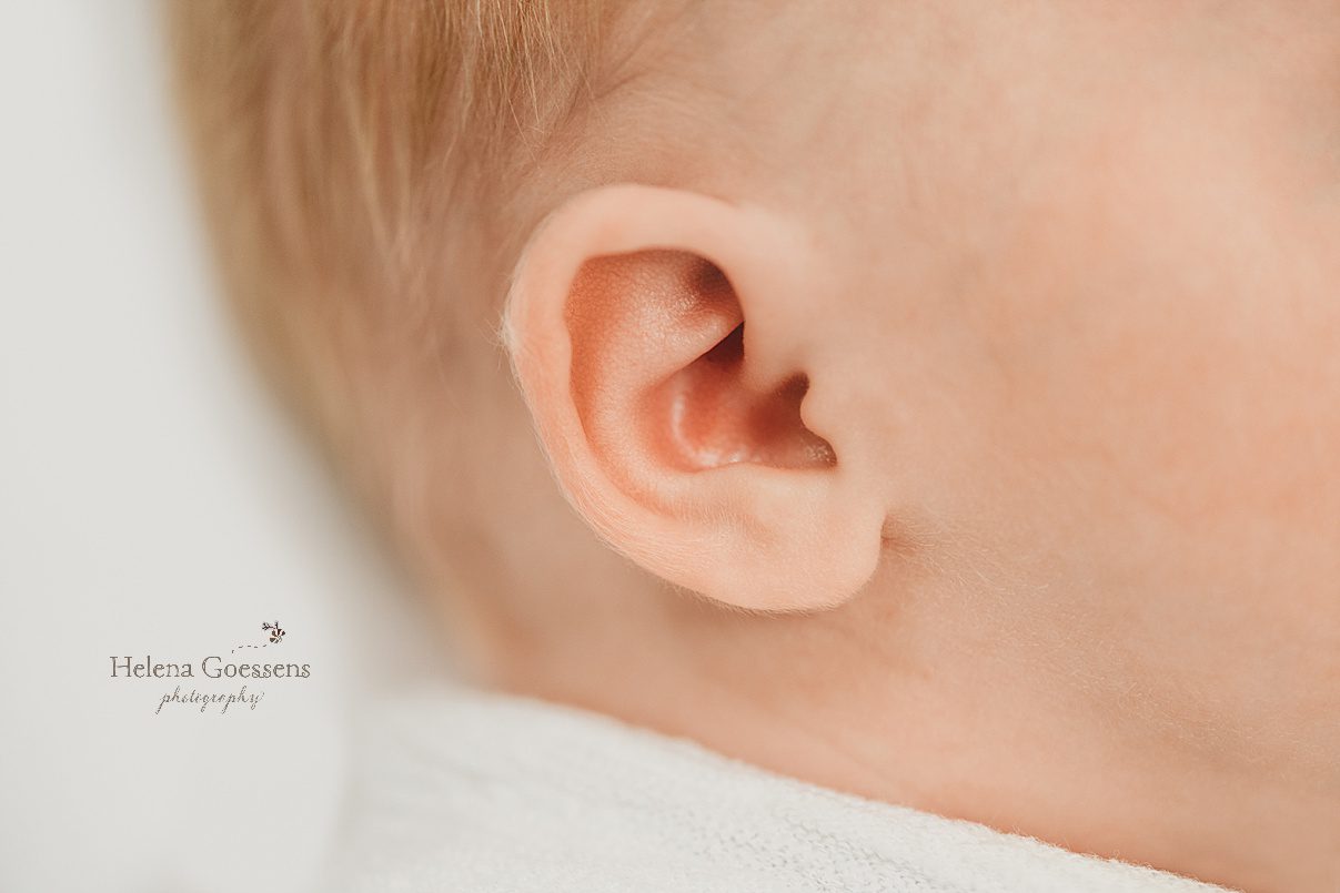 closeup of baby girl's ear during newborn photos 