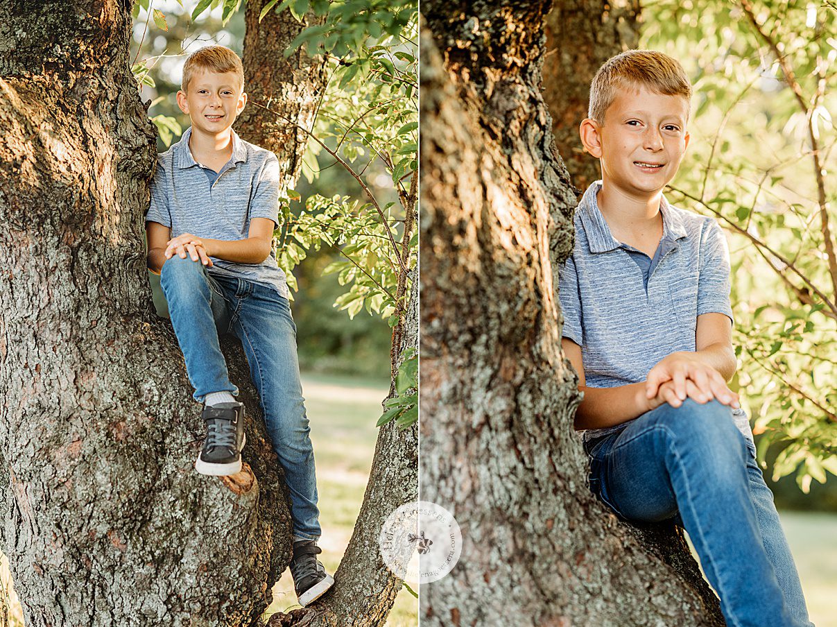 boy in blue polo and jeans sits in tree at Larz Anderson Park