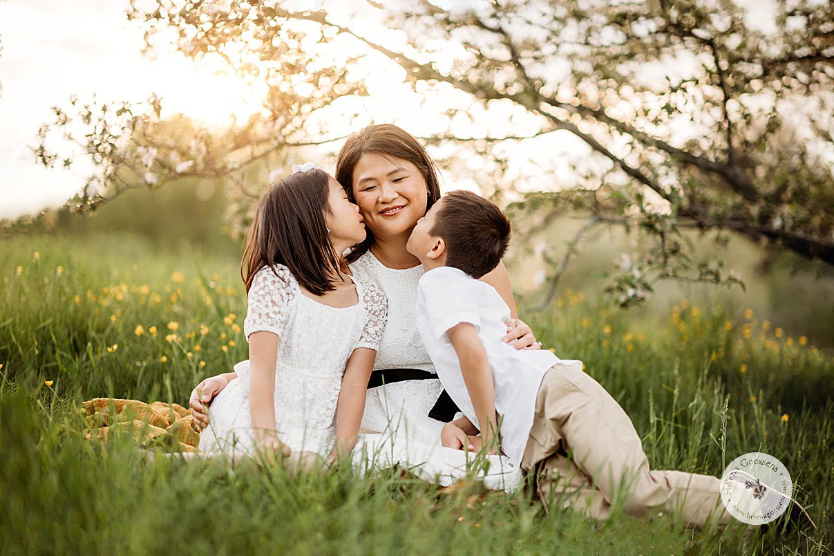 two kids lean to give mom a kiss during Jamaica Plain family portraits at Arnold Arboretum