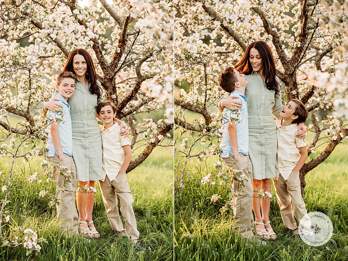 mom hugs two songs by tree with white flowers during family photos at Arnold Arboretum