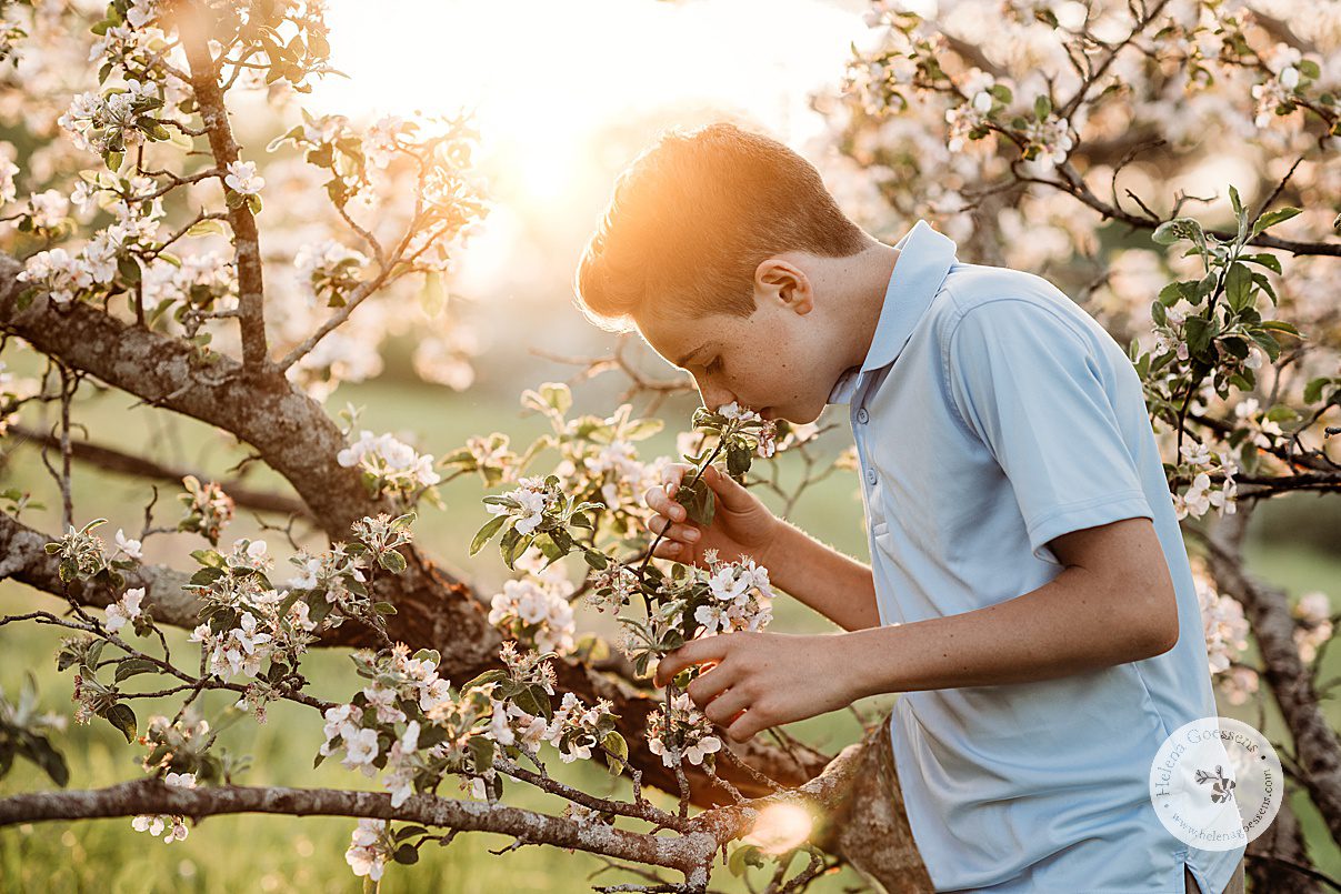 boy in blue polo shirt smells white flowers on tree