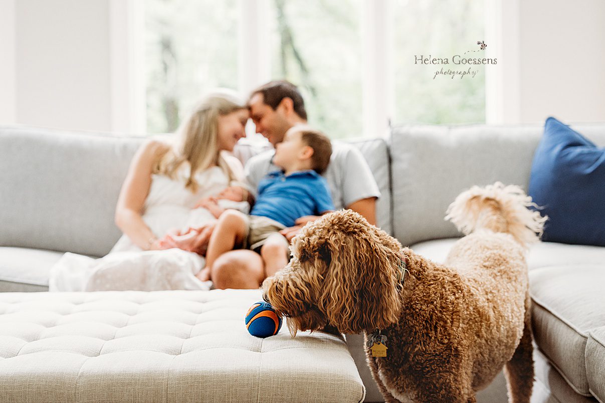 parents cuddle with toddler and newborn baby while dog lays ball on couch in house