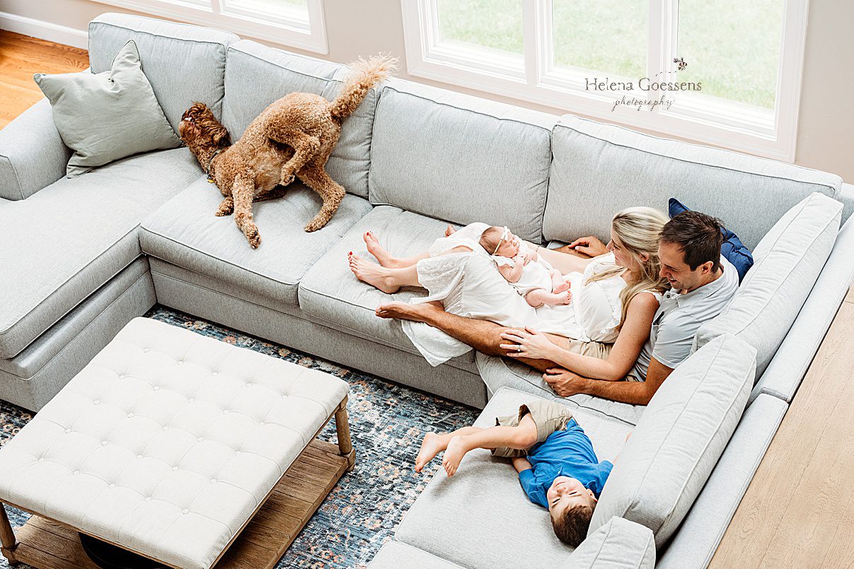 parents sit on couch with baby girl and toddler on couch while dog roll around the other end during lifestyle newborn photos in Westwood MA