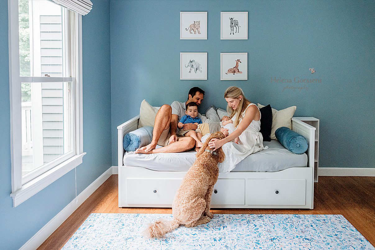 parents sit on day bed with son and daughter while petting dog in Westwood MA home during lifestyle newborn photos